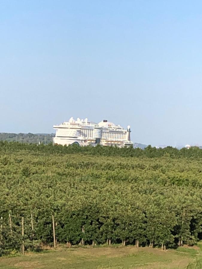 Grünendeich Wohnen Im Alten Land מראה חיצוני תמונה