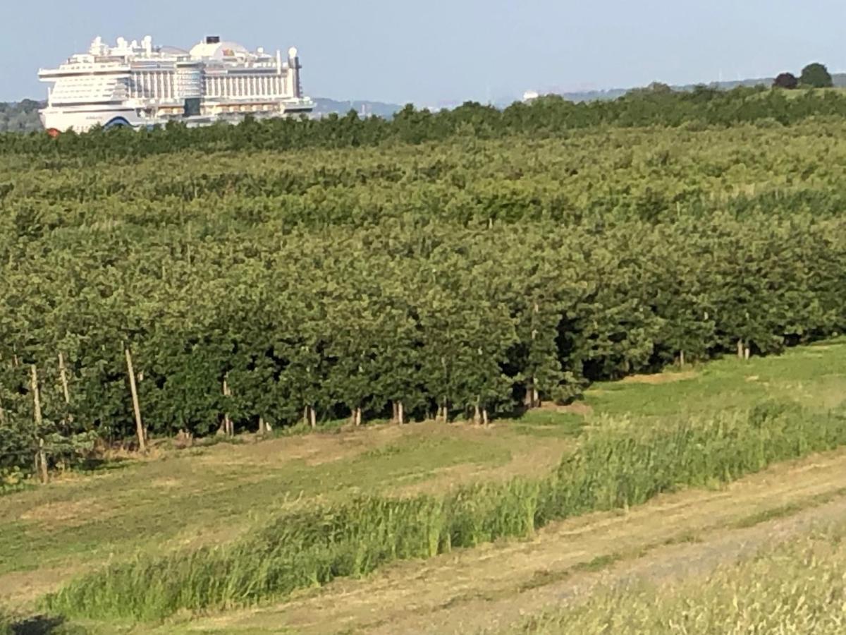 Grünendeich Wohnen Im Alten Land מראה חיצוני תמונה